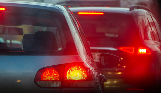 February 2025 Newsletter Header